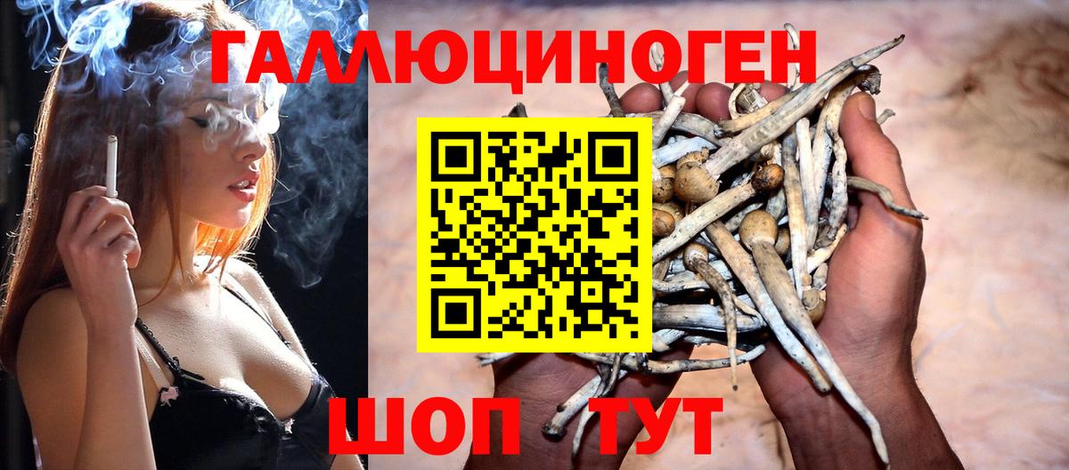 Псилоцибиновые грибы GOLDEN TEACHER  Вход с VPN  купить   Прохладный 