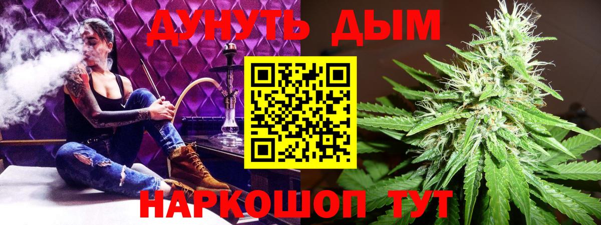 Прохладный  Марихуана план  Конопля сатива  Вход с VPN  Бошки марихуана Bruce Banner 